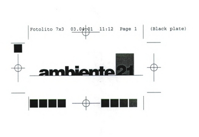 AMBIENTE 21