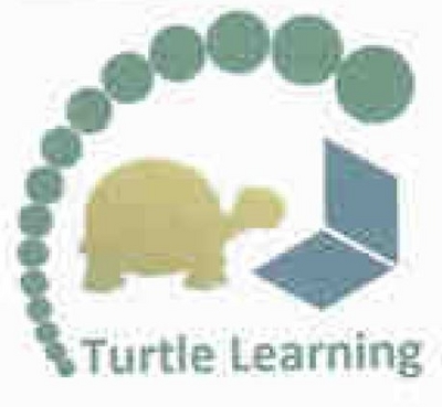 TURTLE LEARNING