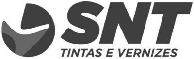 SNT TINTAS E VERNIZES