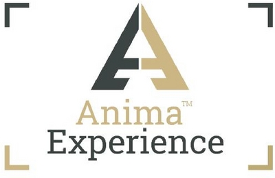 ANIMATM EXPERIENCE