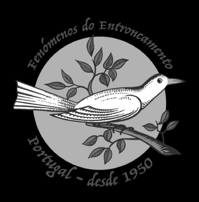 FENÓMENOS DO ENTRONCAMENTO PORTUGAL DESDE 1950