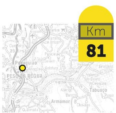 KM 81