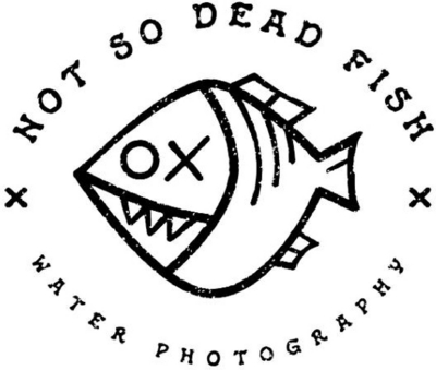 NOT SO DEAD FISH -   WATER PHOTOGRAPHY