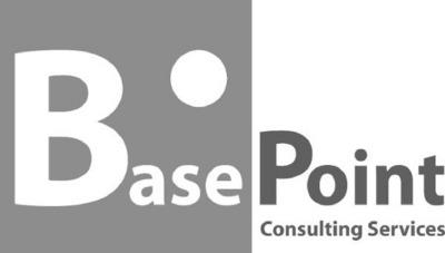 BASEPOINT CONSULTING SERVICES