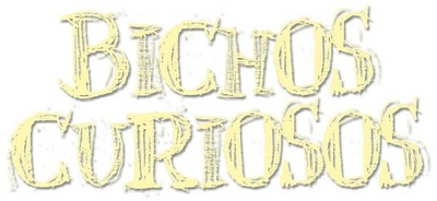 BICHOS CURIOSOS
