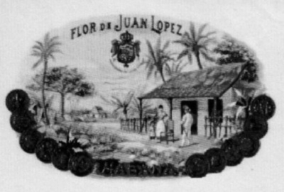 FLOR DE JUAN LOPEZ