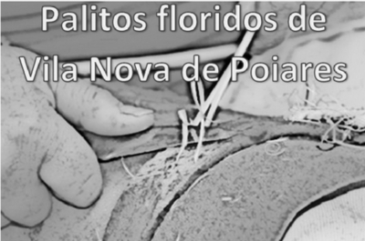 PALITOS FLORIDOS DE VILA NOVA DE POIARES