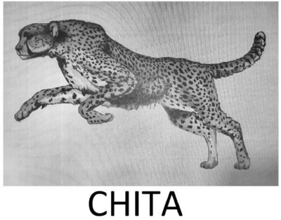 CHITA