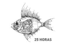 25 HORAS