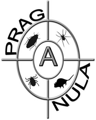 PRAGANULA