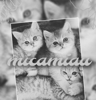 MICAMIAU
