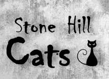 STONE HILL CAT'S