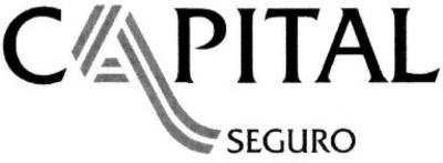 CAPITAL SEGURO