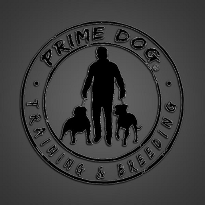 PRIME DOG - TRAINING & BREEDING