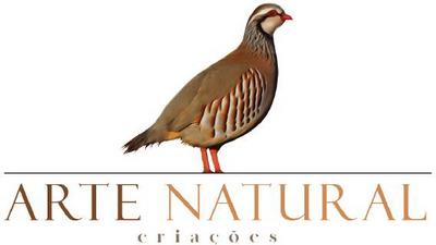 ARTE NATURAL CRIAÇÕES