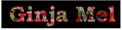 GINJA MEL