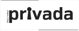 SEGURANÇA PRIVADA