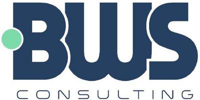 BWS CONSULTING