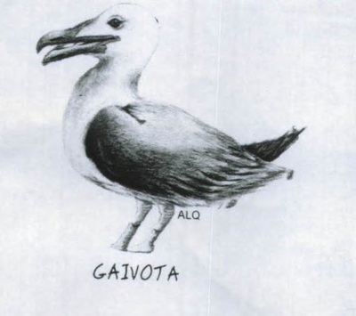 GAIVOTA