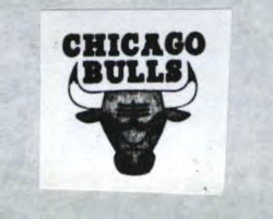 CHICAGO BULLS