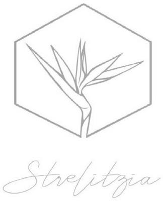 STRELITZIA