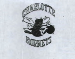 CHARLOTTE HORNETS