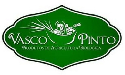 VASCO PINTO
