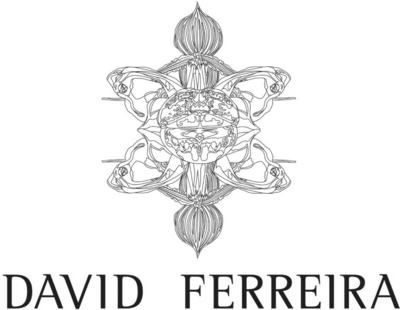 DAVID FERREIRA