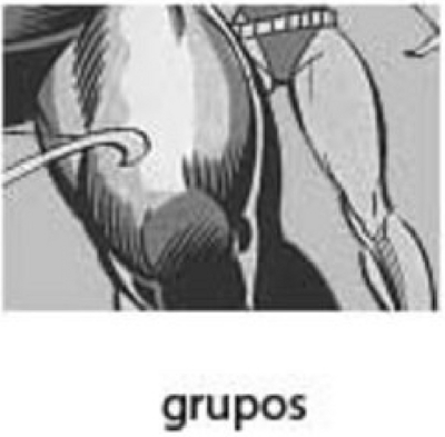 GRUPOS