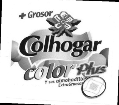 COLHOGAR COLOR PLUS