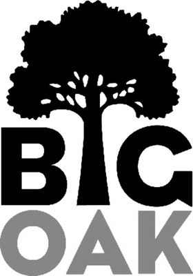 BIG OAK