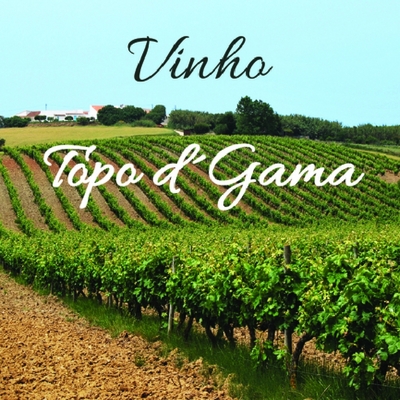 VINHO TÓPO D'GAMA