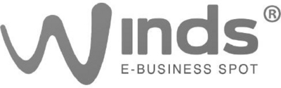 WINDS E-BUSINESS SPOT
