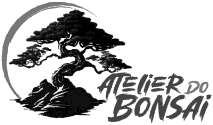 ATELIER DO BONSAI