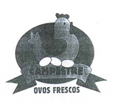 CAMPESTRE - OVOS FRESCOS