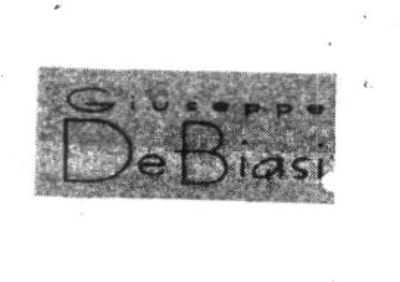 GIUSEPPE DE BIASI