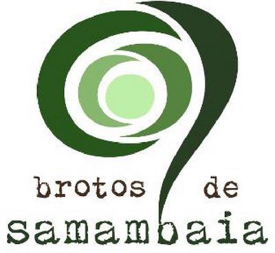 BROTOS DE SAMAMBAIA