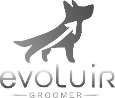 EVOLUIR GROOMER