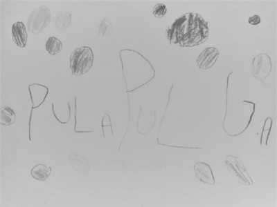 PULA PULGA