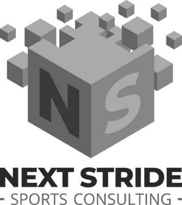 NS NEXT STRIDE - SPORTS CONSULTING