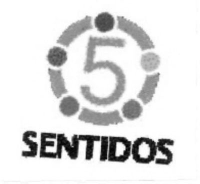 5 SENTIDOS