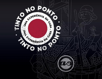 TINTO NO PONTO - UMA EXPERIÊNCIA EM CASA