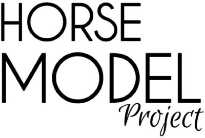 HORSE MODEL PROJECT