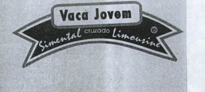 VACA JOVEM