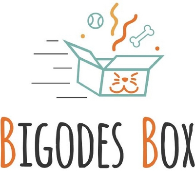BIGODES BOX