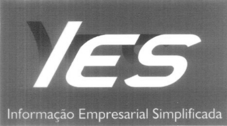 IES INFORMAÇÃO EMPRESARIAL SIMPLIFICADA