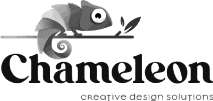 CHAMELEON CREATIVE DESIGN SOLUTIONS
