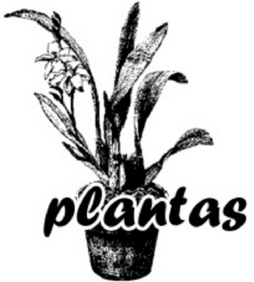 PLANTAS