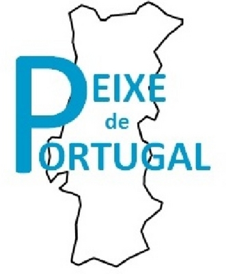 PEIXE DE PORTUGAL