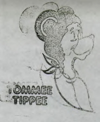 TOMMEE TIPPEE